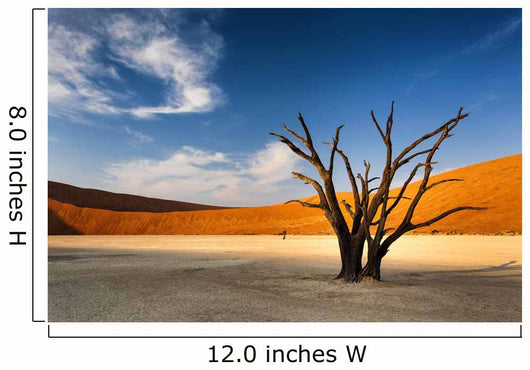 Dead Tree Namibia Desert Wall Decal