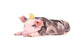 Little Pig with Chicken Wall Decal