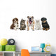Group Pets Wall Decal