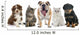 Group Pets Wall Decal
