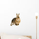 Hare Alert Wall Decal