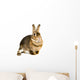 Hare Alert Wall Decal