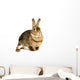 Hare Alert Wall Decal