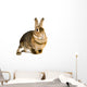 Hare Alert Wall Decal