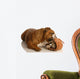 English Bulldog Playing with Wall Decal
