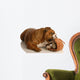 English Bulldog Playing with Wall Decal