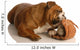 English Bulldog Playing with Wall Decal