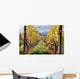 Vineyard Wall Decal
