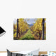 Vineyard Wall Decal