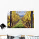 Vineyard Wall Decal