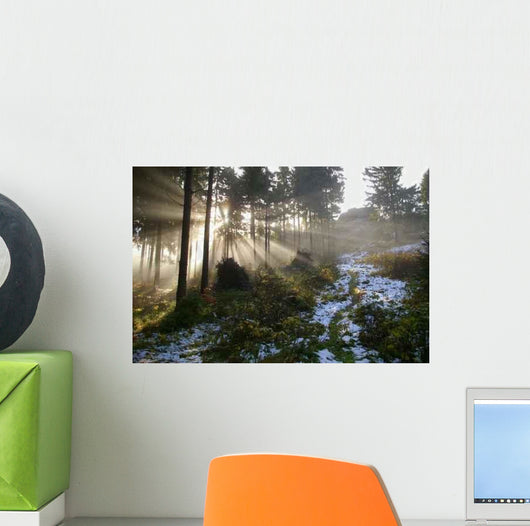 Langersfelsen Am Morgen Wall Decal