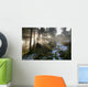 Langersfelsen Am Morgen Wall Decal
