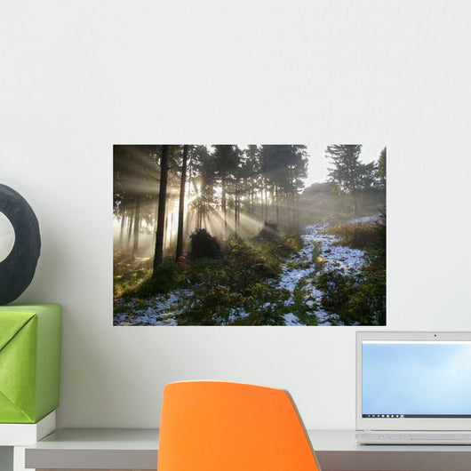 Langersfelsen Am Morgen Wall Decal