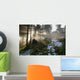 Langersfelsen Am Morgen Wall Decal