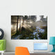 Langersfelsen Am Morgen Wall Decal