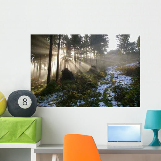 Langersfelsen Am Morgen Wall Decal