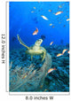 Hawksbill Sea Turtle and Wall Decal