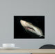 Sand Tiger Shark Wall Decal