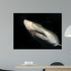 Sand Tiger Shark Wall Decal