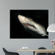 Sand Tiger Shark Wall Decal