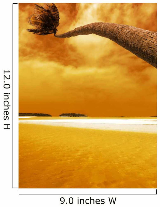 Palm Bending Sunset Wall Decal