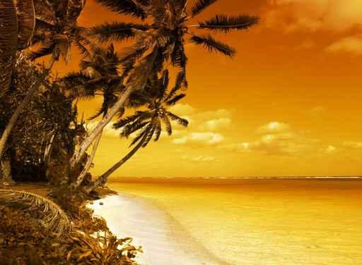 Island Lagoon Sunset Wall Decal