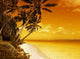 Island Lagoon Sunset Wall Decal