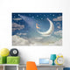 Girl Moon Admires Night Wall Decal