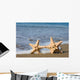 Two Starfishes Surf Wall Decal