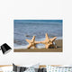 Two Starfishes Surf Wall Decal