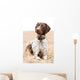 German Shorthaired Pointer Dog Wall Decal