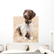 German Shorthaired Pointer Dog Wall Decal