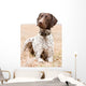 German Shorthaired Pointer Dog Wall Decal