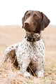 German Shorthaired Pointer Dog Wall Decal