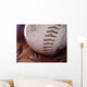 Baseball and Ball-glove Wall Decal