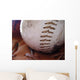 Baseball and Ball-glove Wall Decal