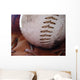 Baseball and Ball-glove Wall Decal
