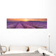 Sunrise over Fields Lavender Wall Decal