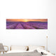 Sunrise over Fields Lavender Wall Decal
