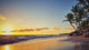 Beautiful Sunrise Tropical Beach Wall Decal