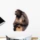 Stern Spider Monkey Wall Decal