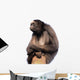 Stern Spider Monkey Wall Decal