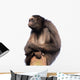 Stern Spider Monkey Wall Decal