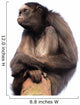 Stern Spider Monkey Wall Decal
