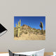 Hike Desert Wall Decal Design 2