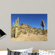 Hike Desert Wall Decal Design 2