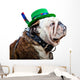 English Bulldog Wearing St Wall Decal