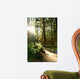 Merymere Falls Trail Sunlight Wall Decal
