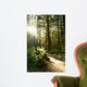 Merymere Falls Trail Sunlight Wall Decal