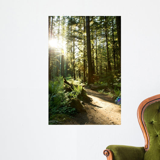 Merymere Falls Trail Sunlight Wall Decal